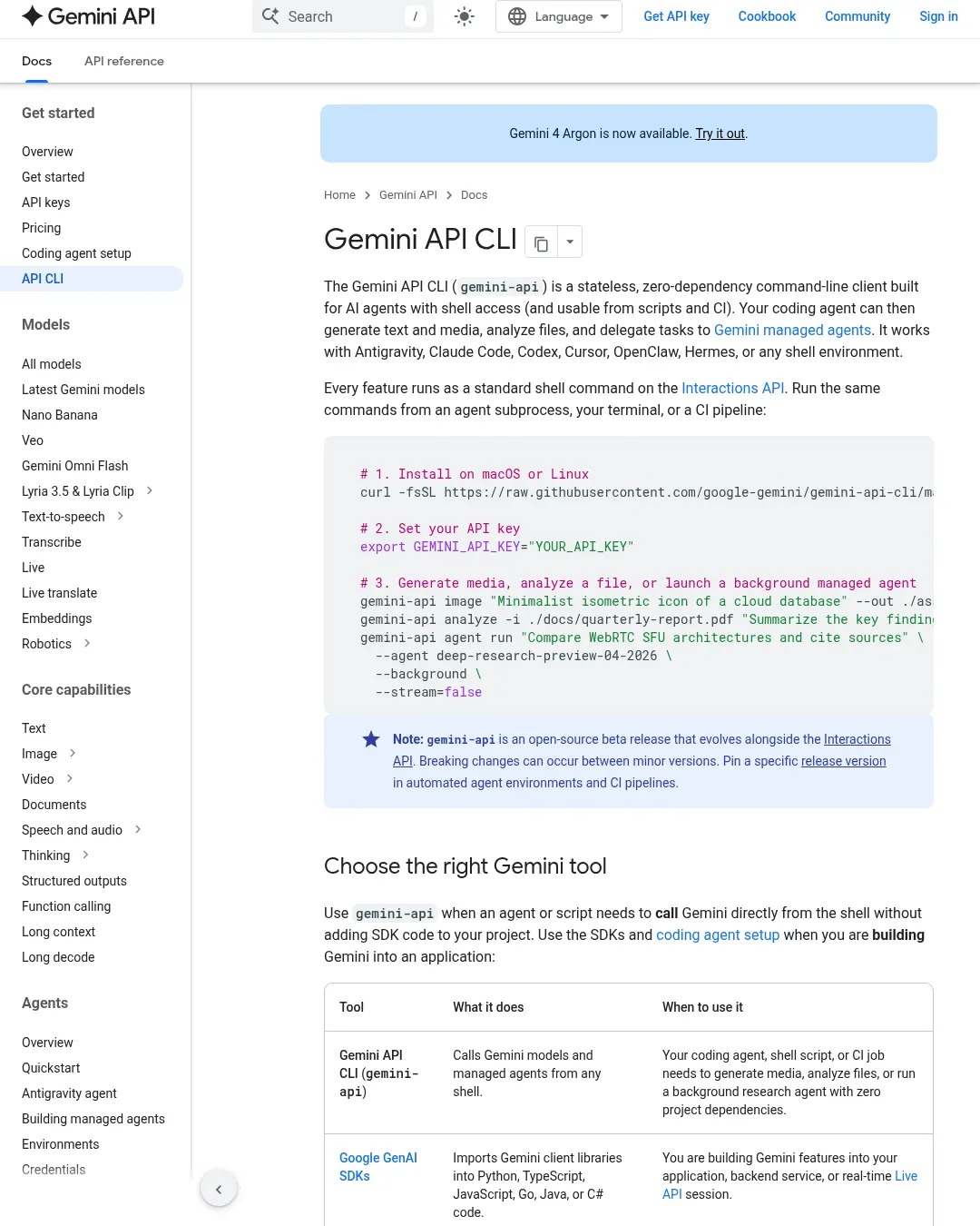 원문 캡처 · ai.google.dev